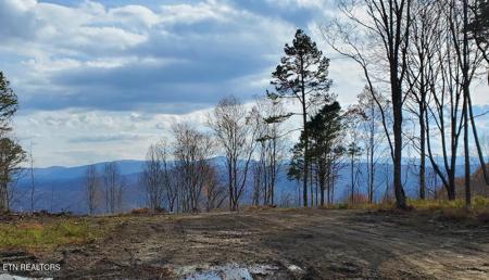 ATV Hilltop Lot K Rd