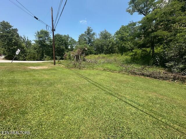 Image 3: IMG_9154 (1)