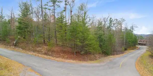 Image 4: 2