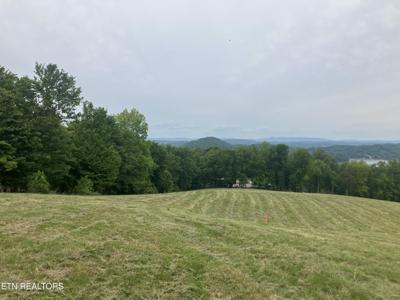 Tract 6 Overlook Trail