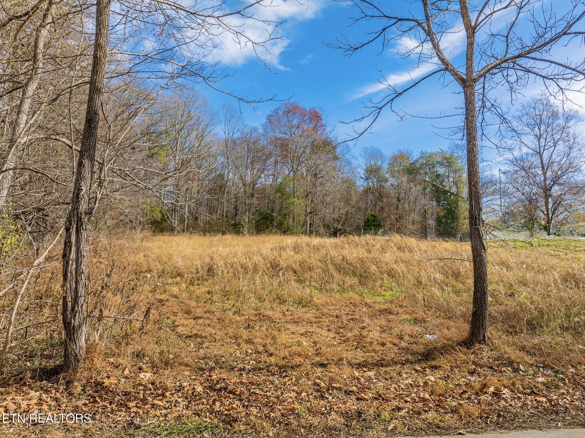 Image 1: Collins Rd