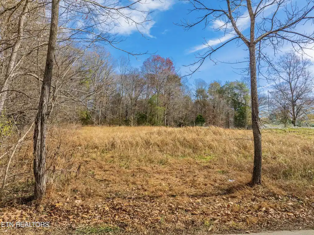 Image 1: Collins Rd