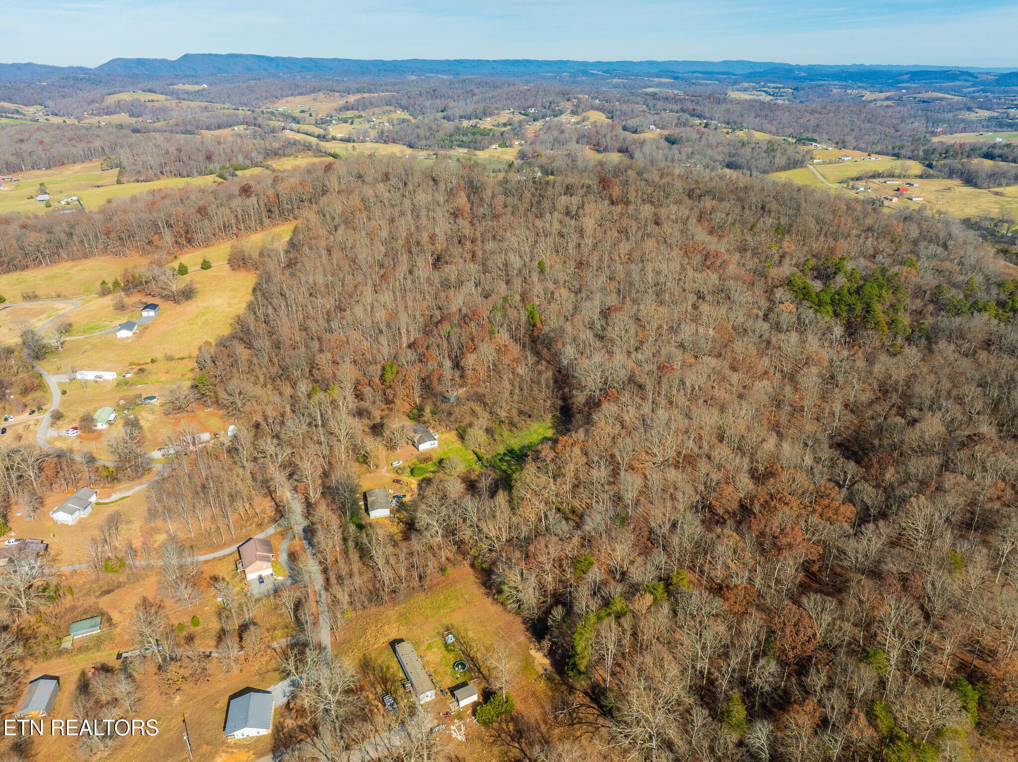 Image 2: Collins Rd