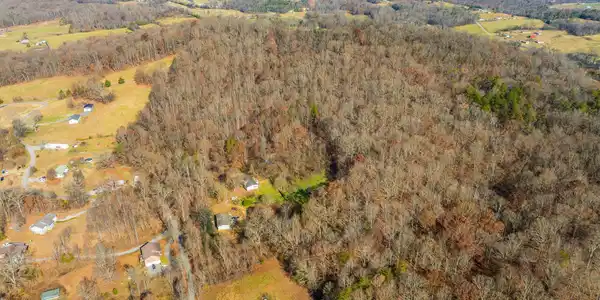 Image 2: Collins Rd