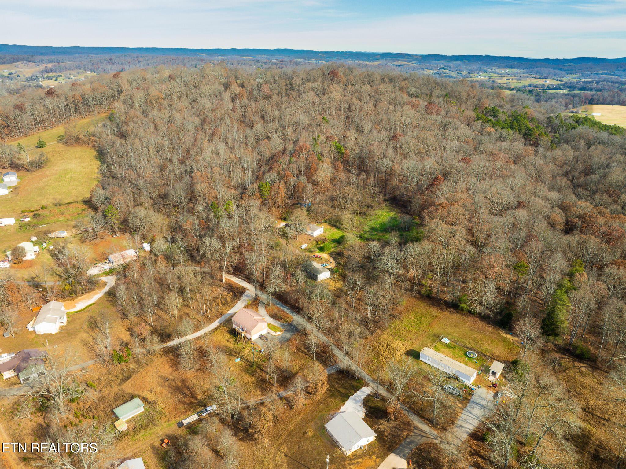 Image 4: Collins Rd