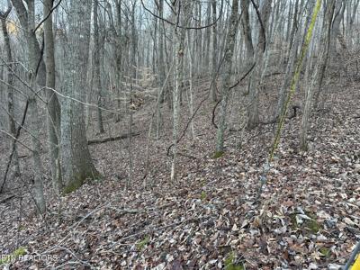83 Stone Ridge Road