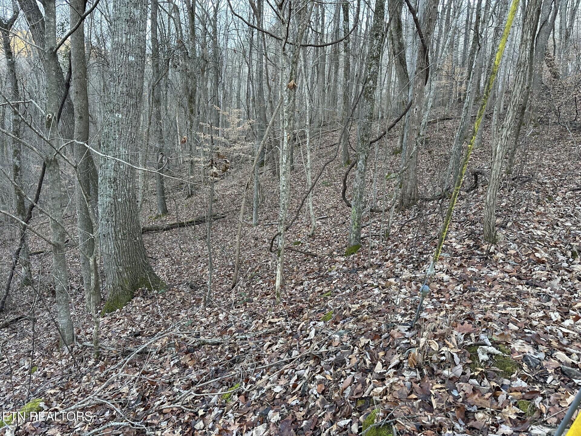 Image 1: thumbnail_IMG_0038