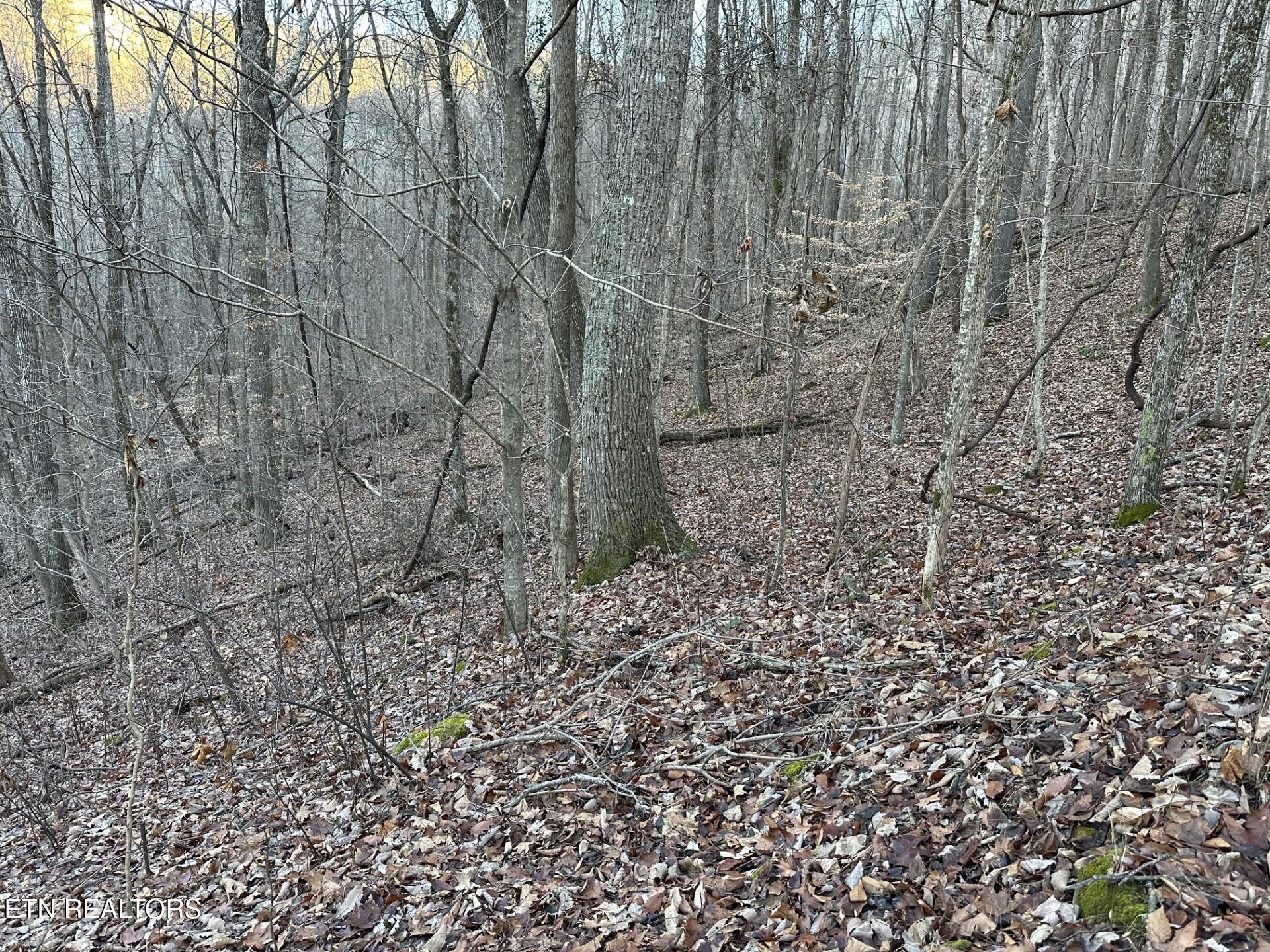 Image 2: thumbnail_IMG_0039