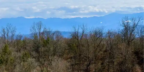 Image 3: VIEW 2