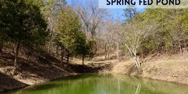 Image 4: SPRING FED POND