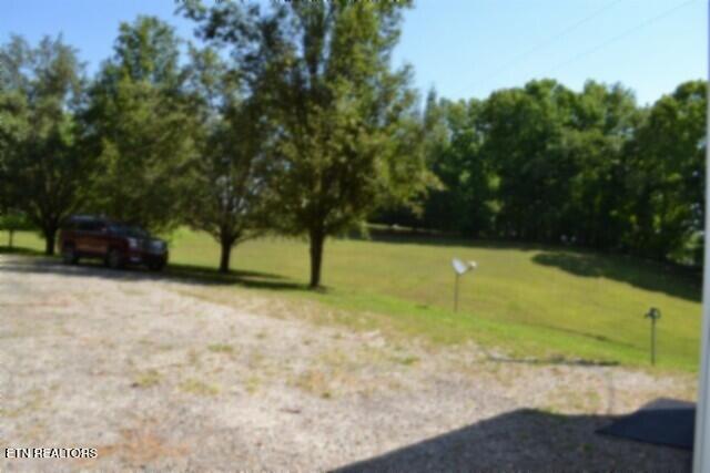 Image 3: DSC_0040