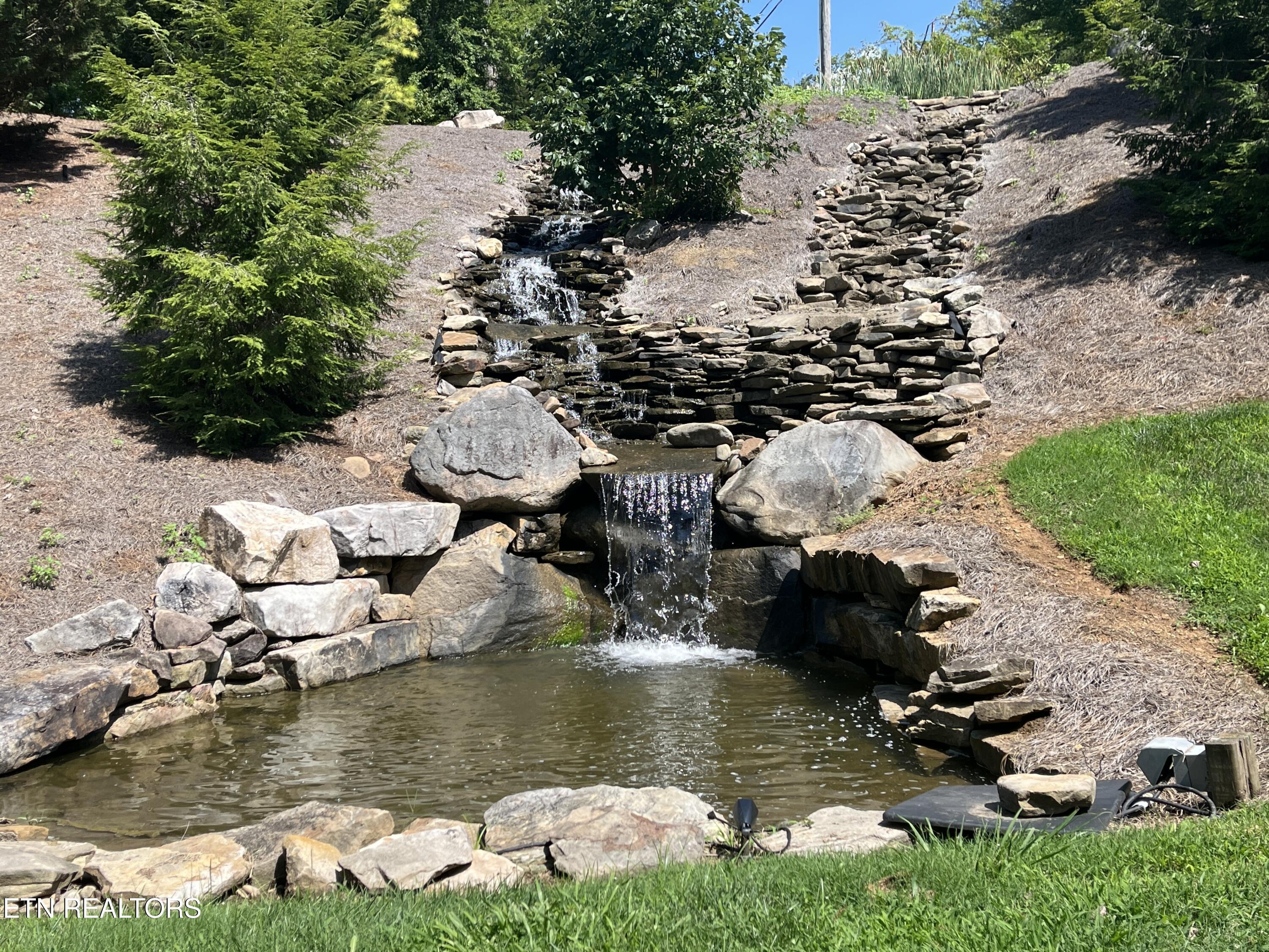 Image 3: IMG_4586