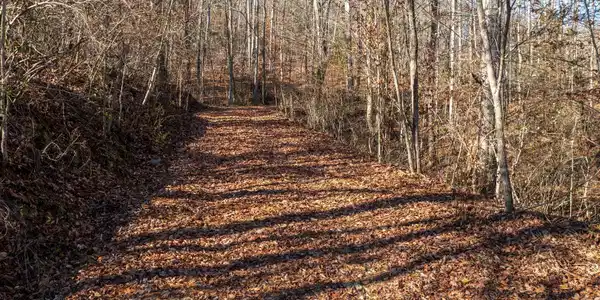 636 Butler Mill Rd
