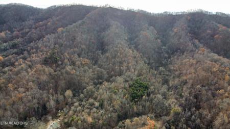 100 acres Elum Coffey Rd