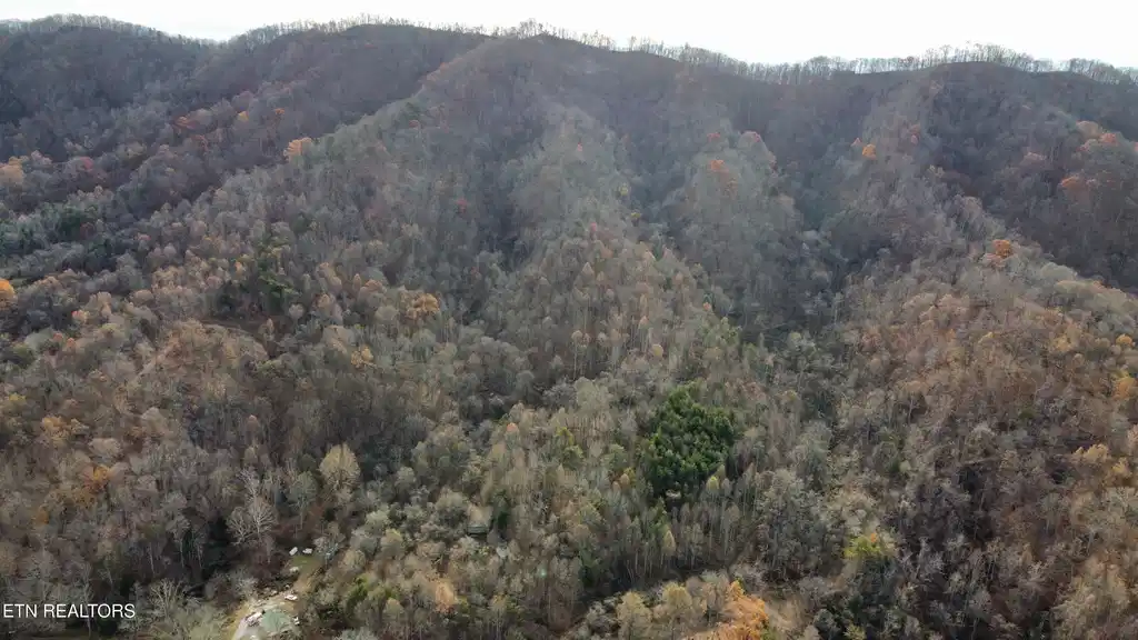 Image 1: 1