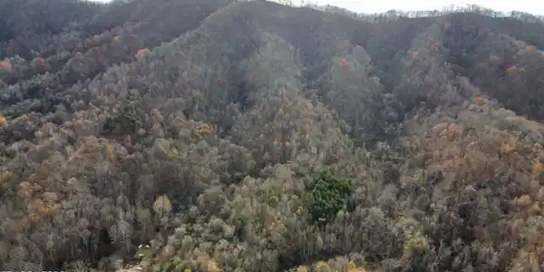 100 acres Elum Coffey Rd