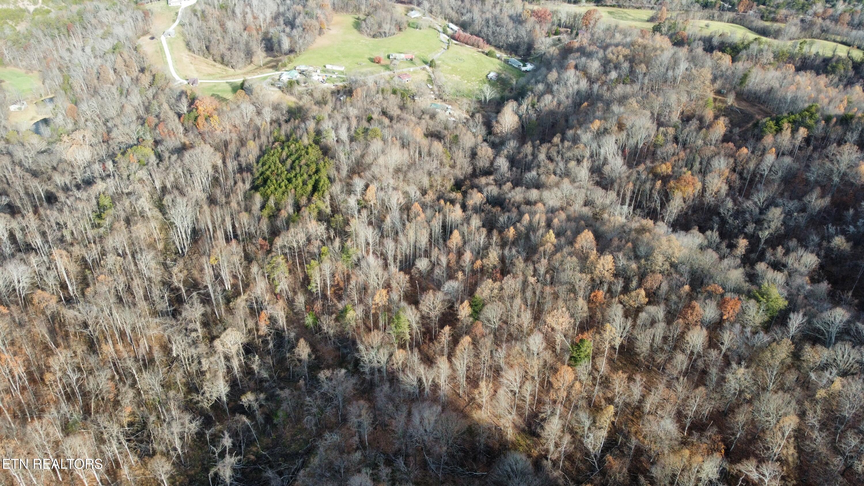 Image 2: dji_fly_20251118_094624_79_1763477549997