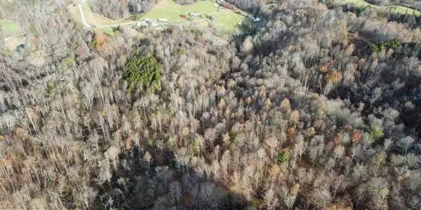 Image 2: dji_fly_20251118_094624_79_1763477549997