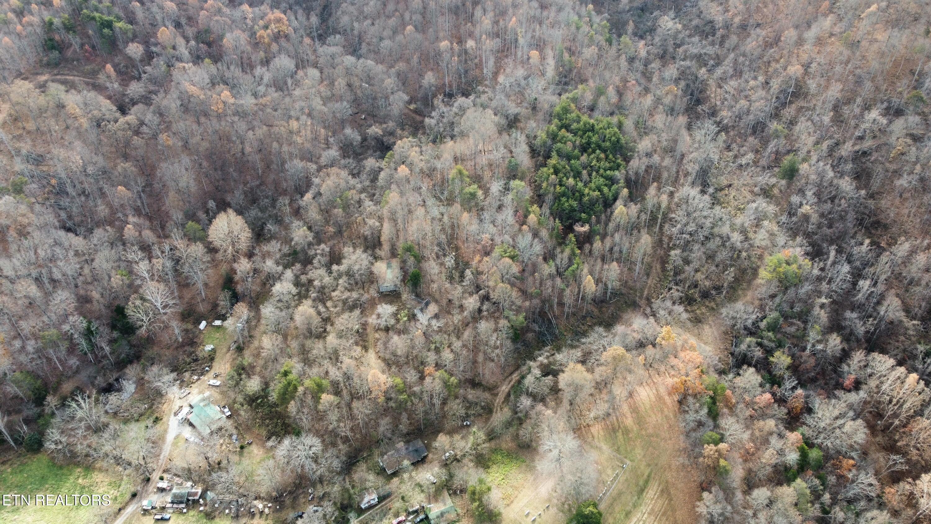 Image 4: dji_fly_20251118_094452_78_1763477552777