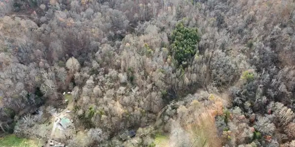 Image 4: dji_fly_20251118_094452_78_1763477552777