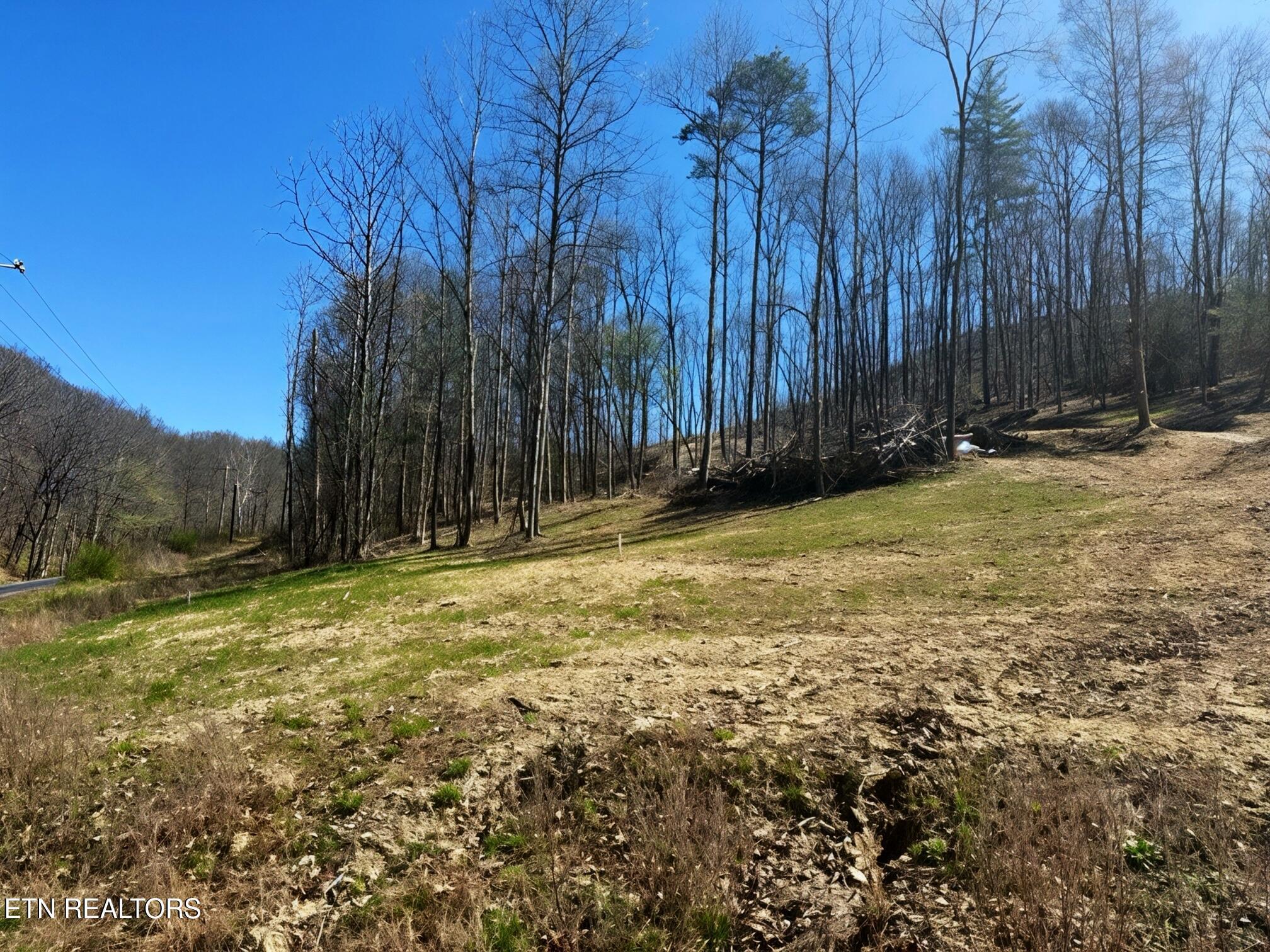 Image 1: Demory Springtime