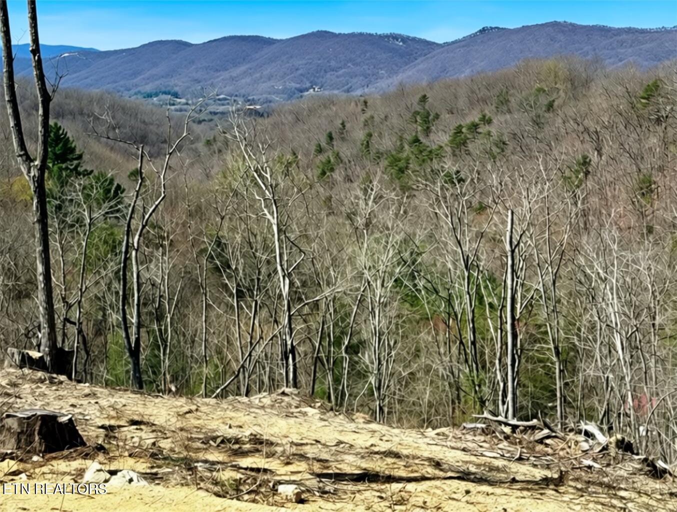 Image 2: Demory Springtime