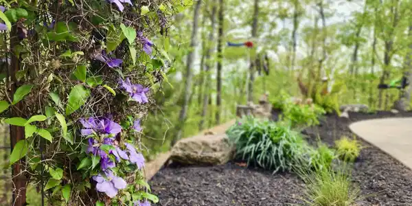 Image 4: 2932 Mockingbird Way, Sevierville, TN