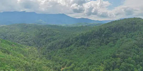 Low Gap Rd