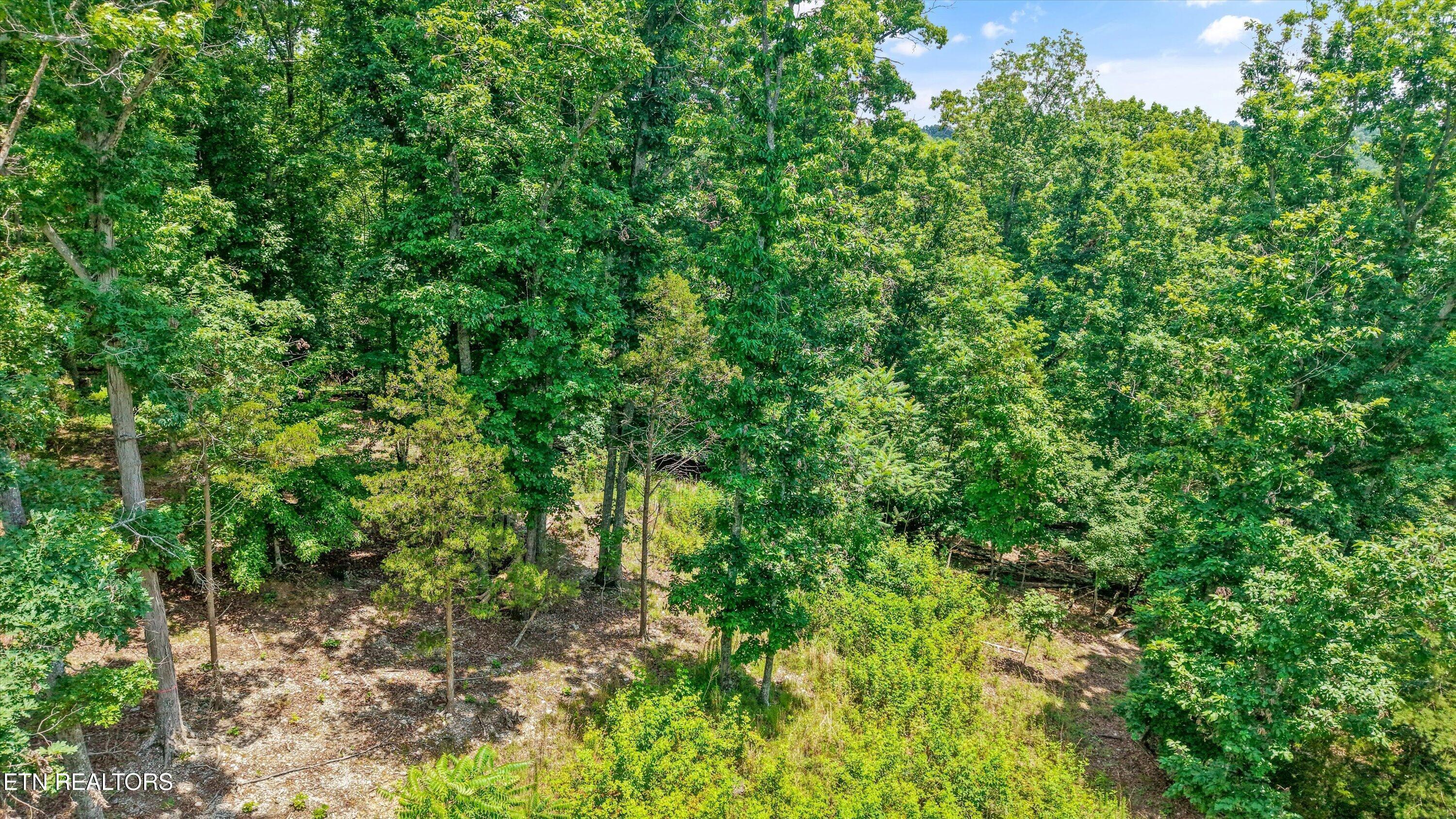 Image 1: 11-1499 Dogwood Valley Rd 12