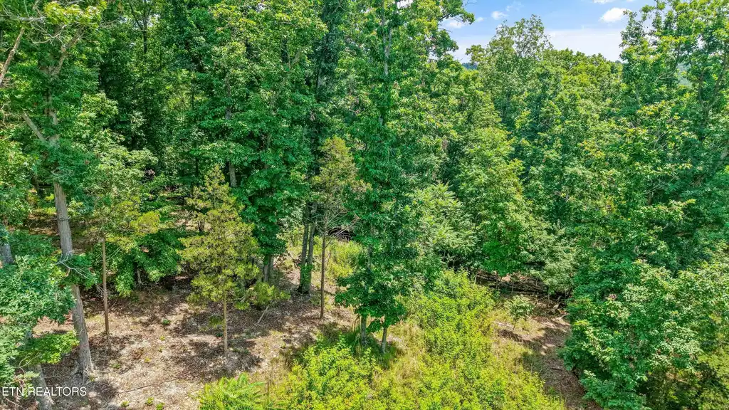 Image 1: 11-1499 Dogwood Valley Rd 12