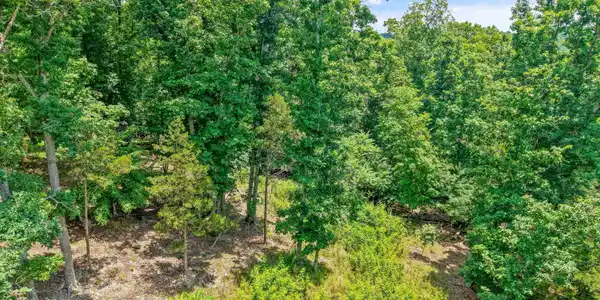 1499 Dogwood Valley Rd