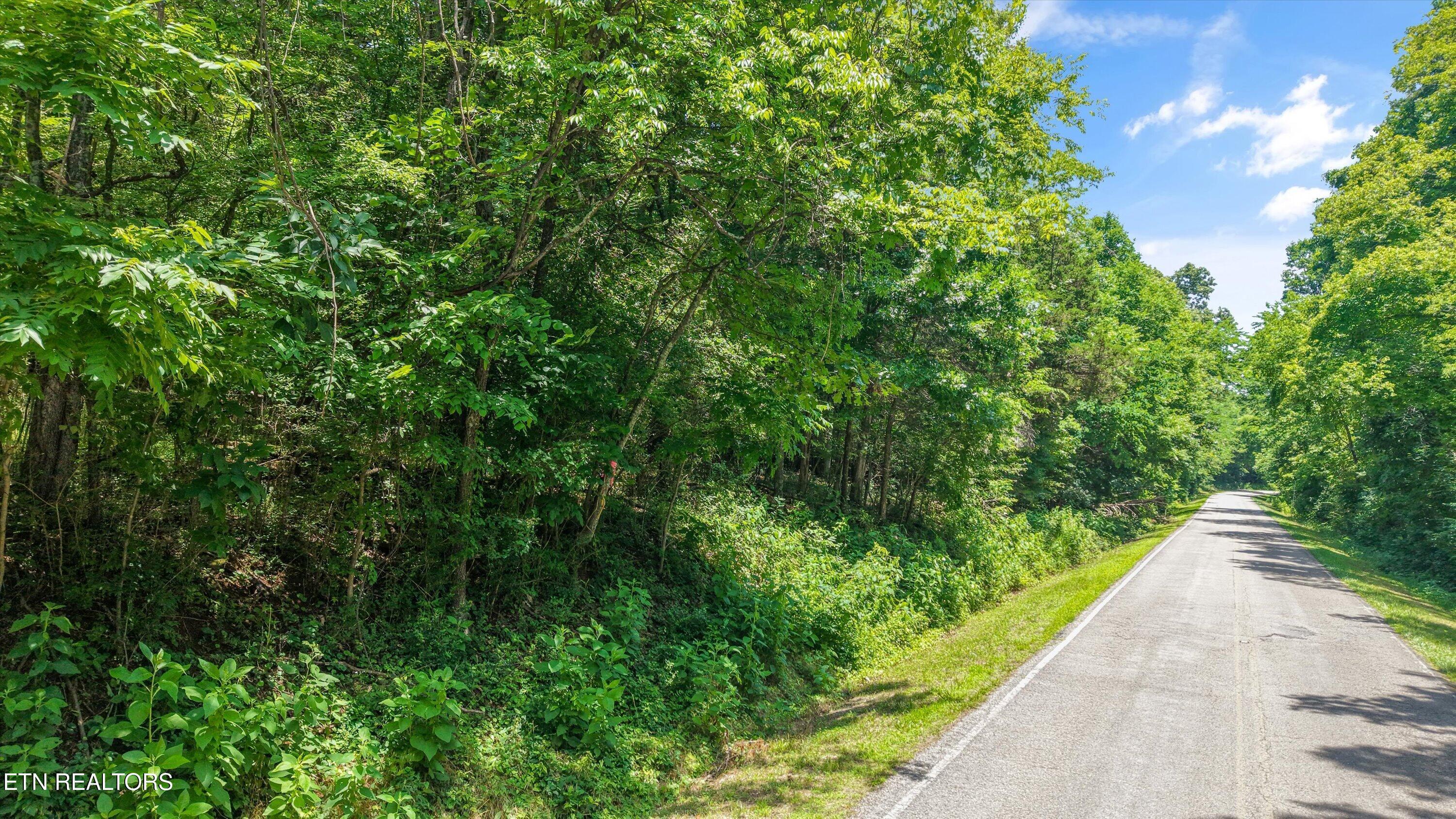 Image 2: 09-1499 Dogwood Valley Rd 01