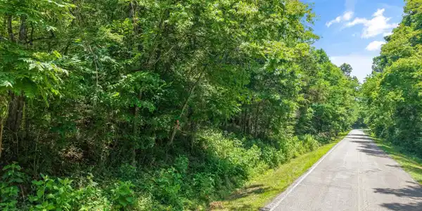 Image 2: 09-1499 Dogwood Valley Rd 01