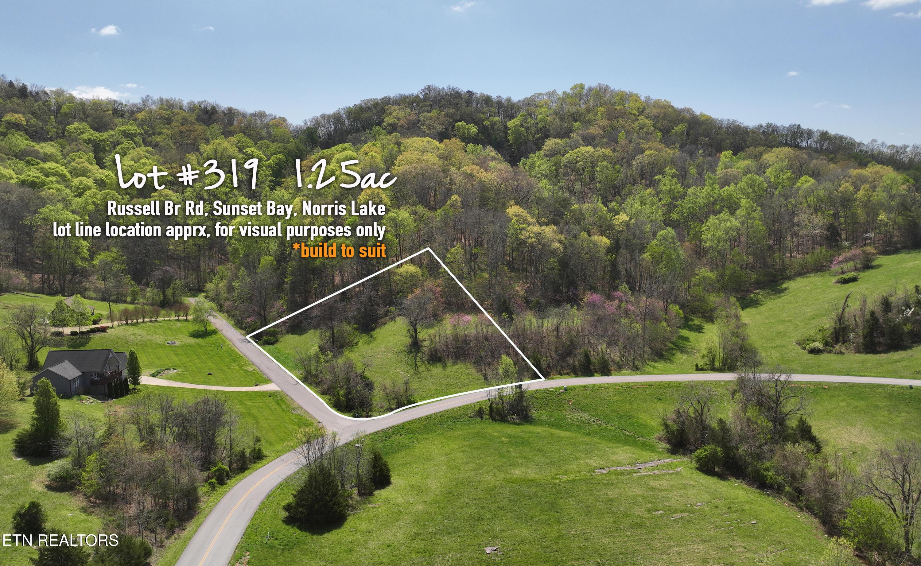 Image 4: L#319 Build to Suit, Norris Lake