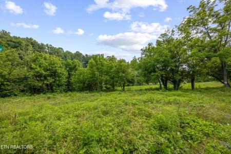 5389 Cocke County Line Rd