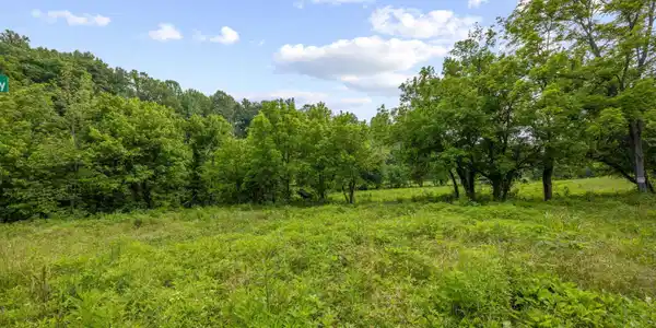 5389 Cocke County Line Rd