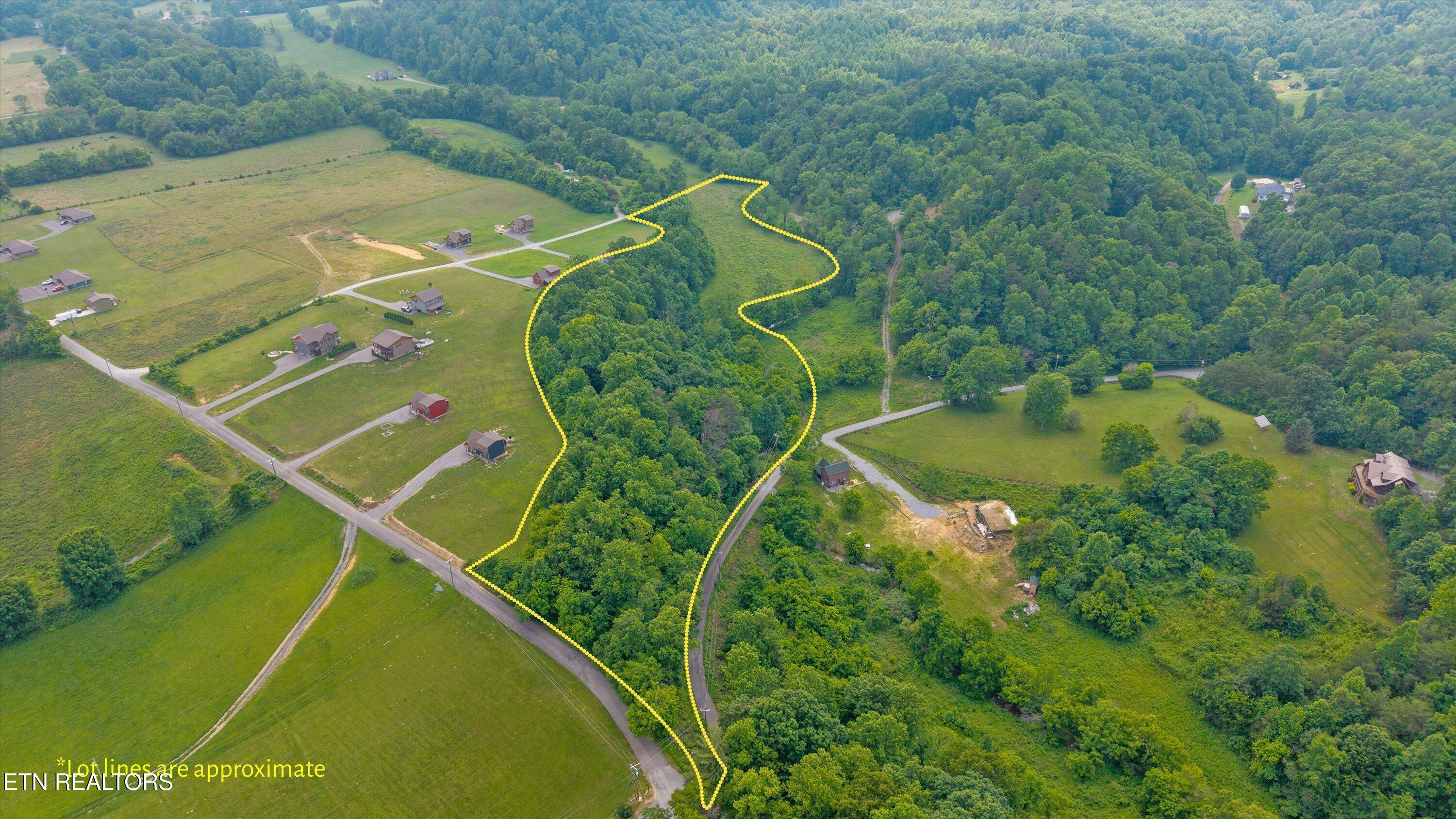 Image 2: 02-5839 Cocke County Line Rd-06