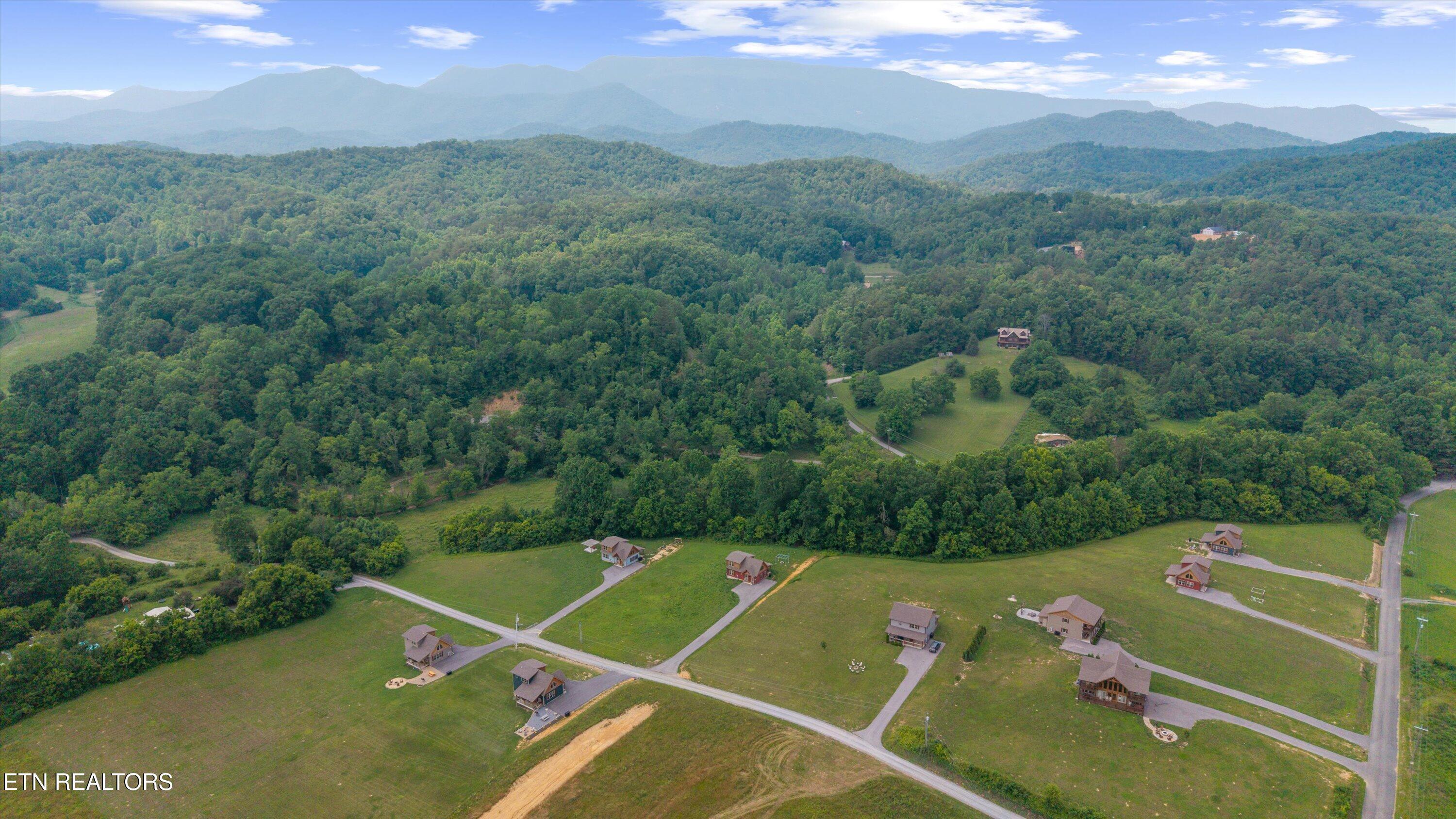 Image 4: 03-5839 Cocke County Line Rd-05