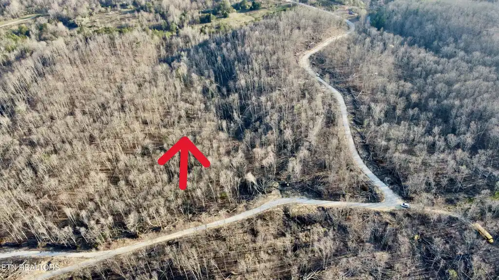 Image 1: Lot 9
