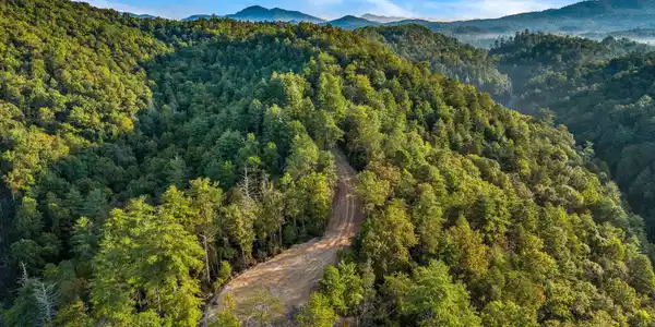 Image 2: 010-BigCreekRoad-Hartford-TN-37753-SMALL