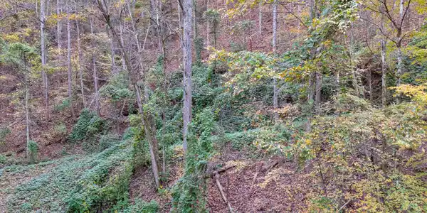 Lots 1 2 3 Timber Grove Rd