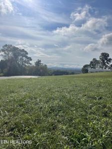 Campbells Point Rd
