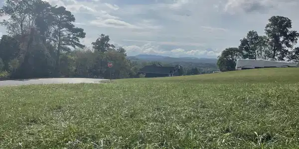 Campbells Point Rd
