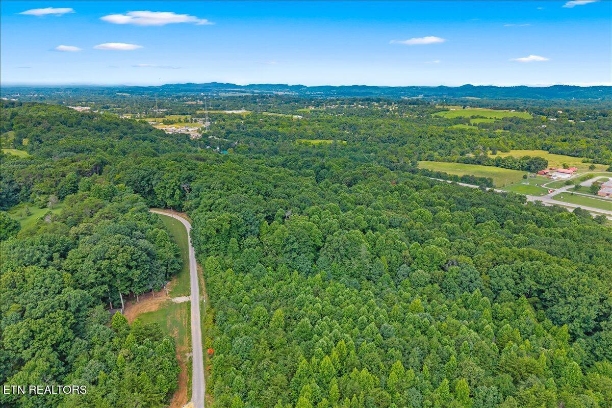 Image 4: 04-00 Highway 411,Madisonville-4