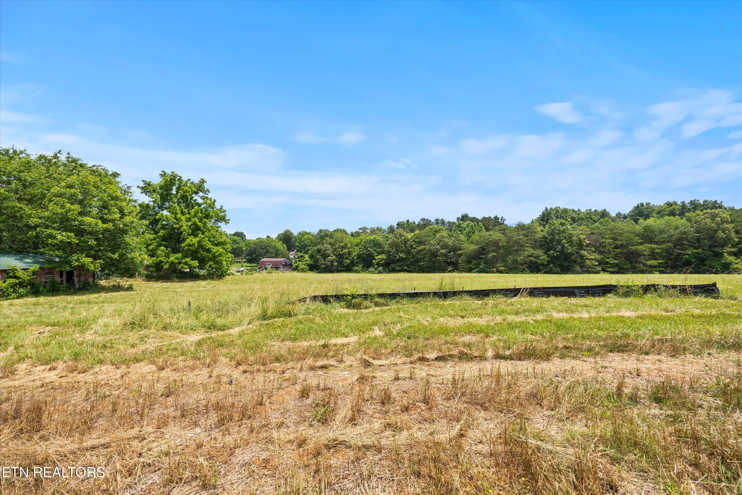 Image 4: 01-Lot_1