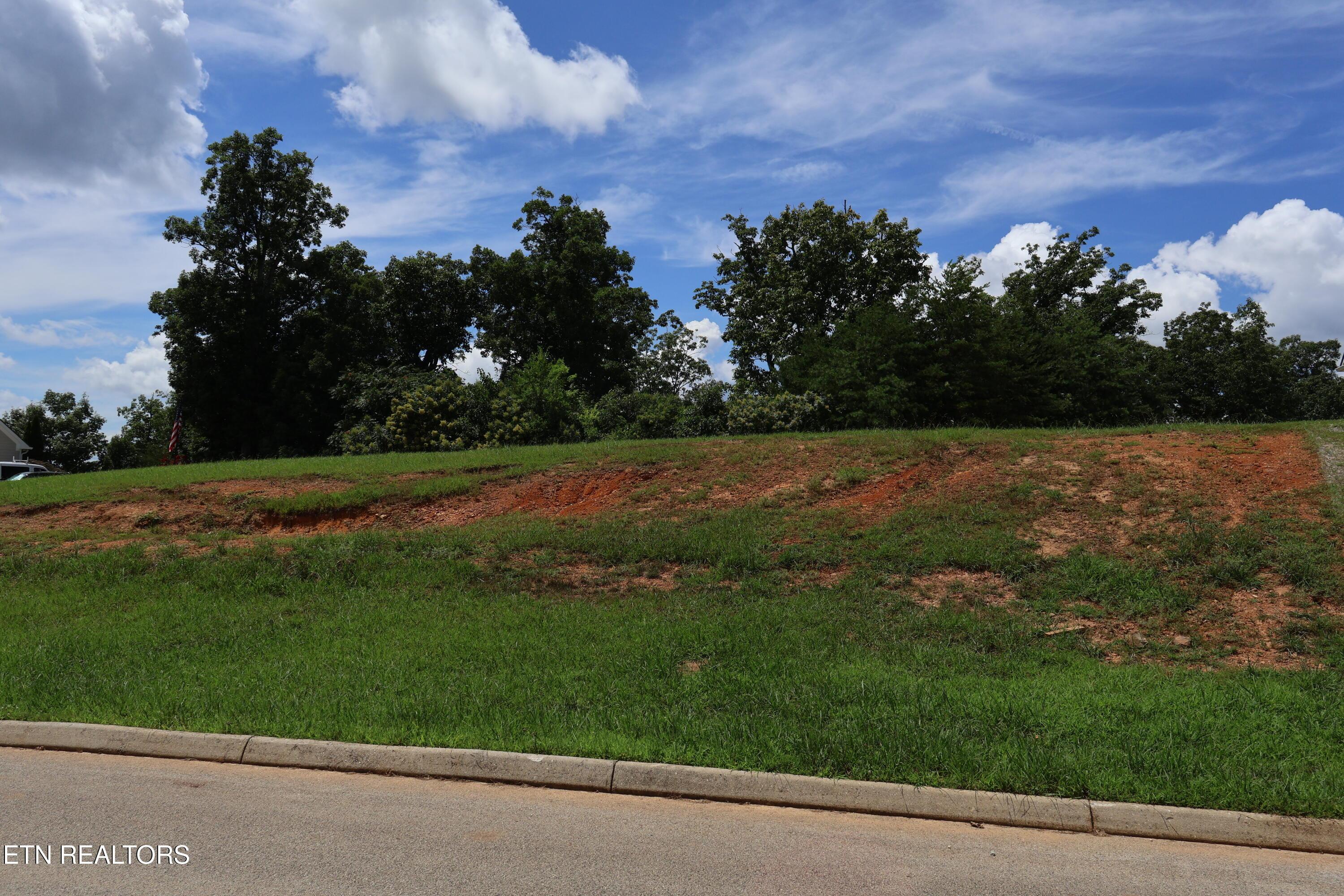 Image 3: IMG_0240