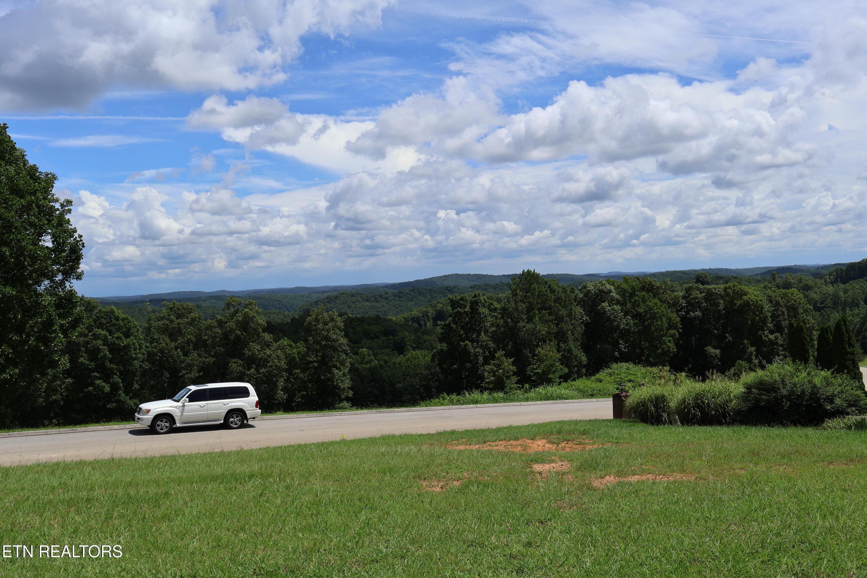 Image 4: IMG_0241