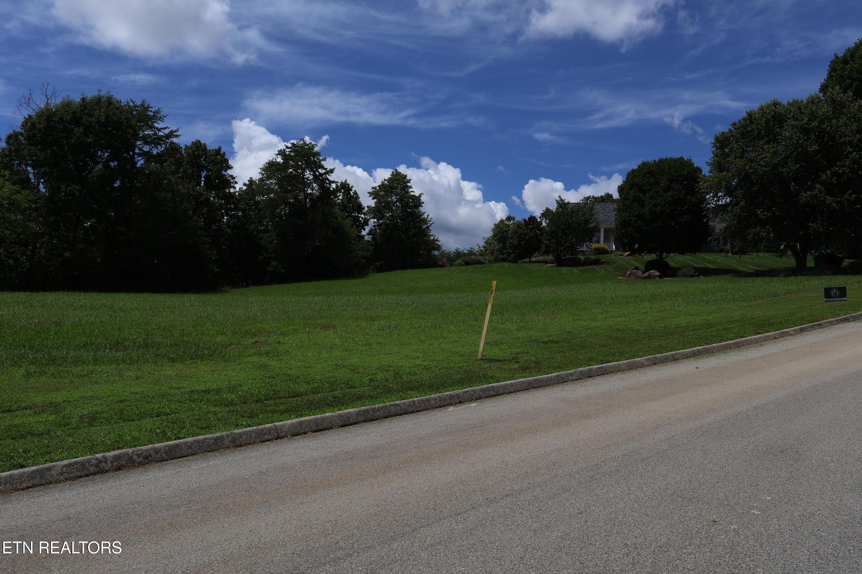 Image 2: IMG_0234