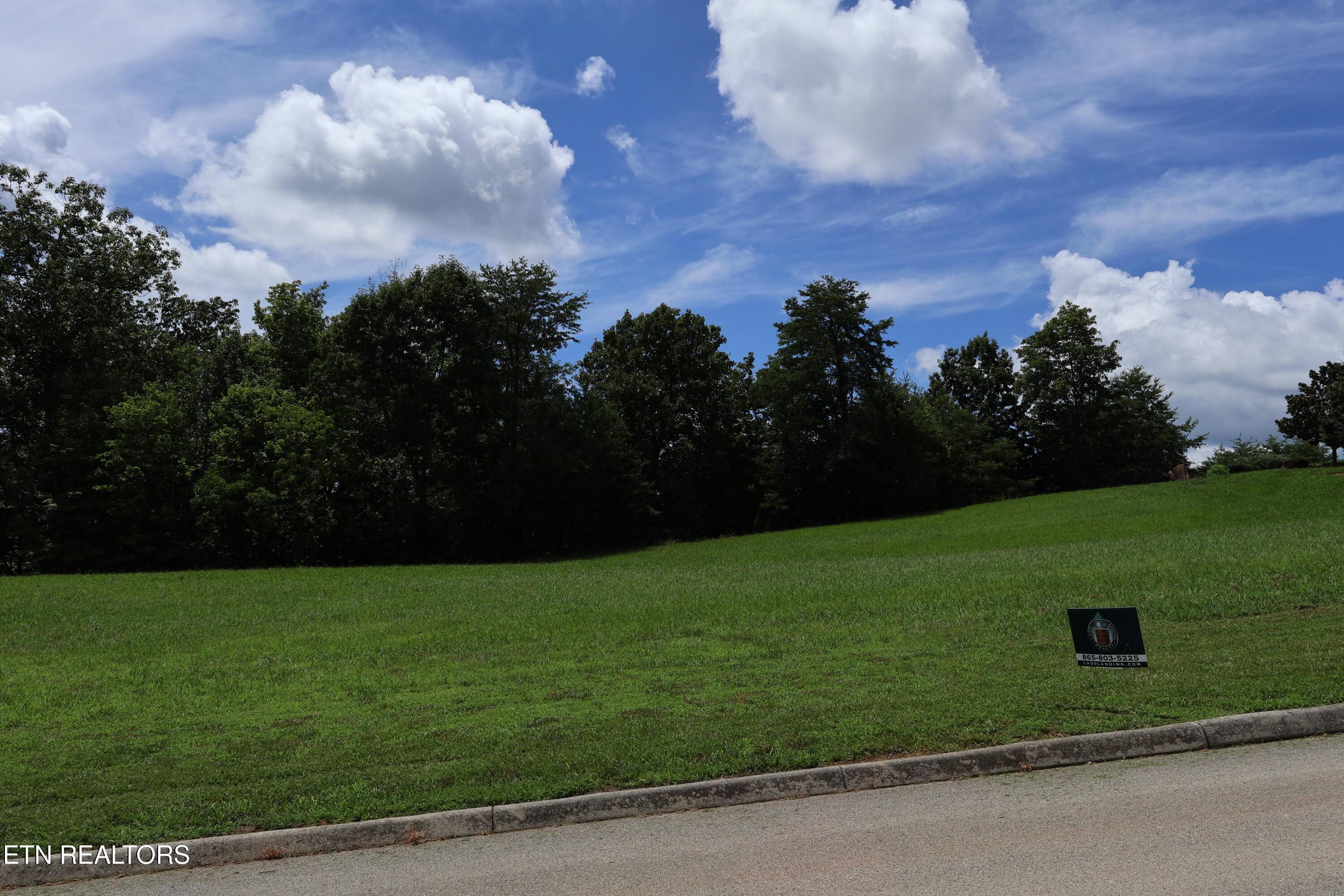 Image 3: IMG_0235
