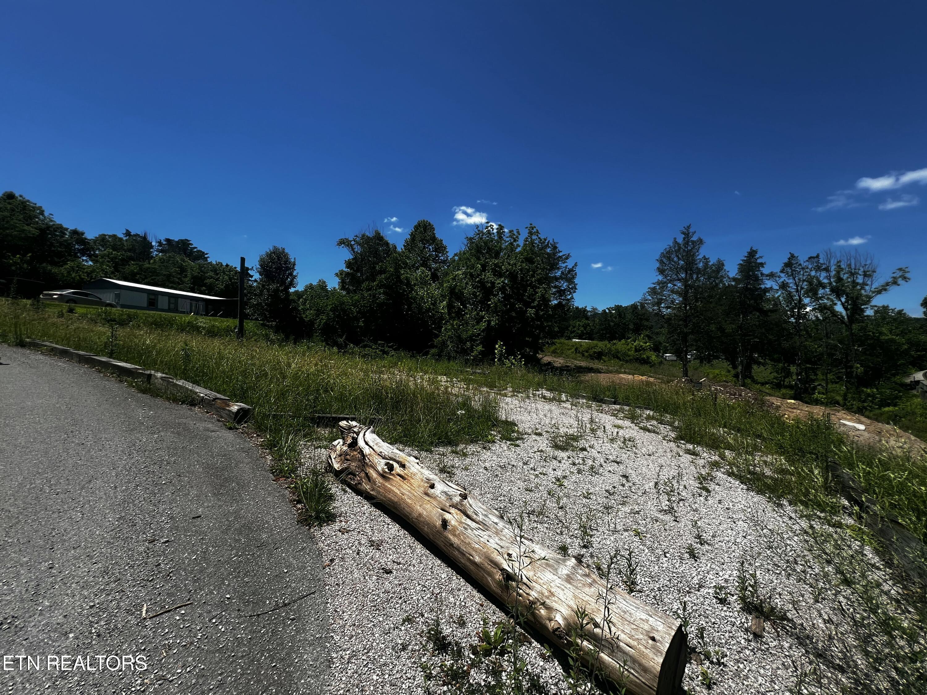 Image 2: IMG_1633
